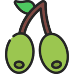 Olives icon